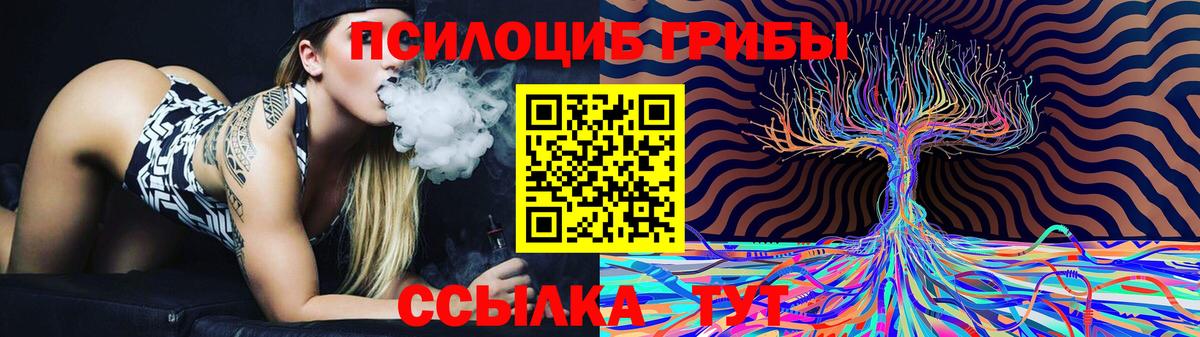 Дербент  Псилоцибиновые грибы Cubensis  Вход с VPN 